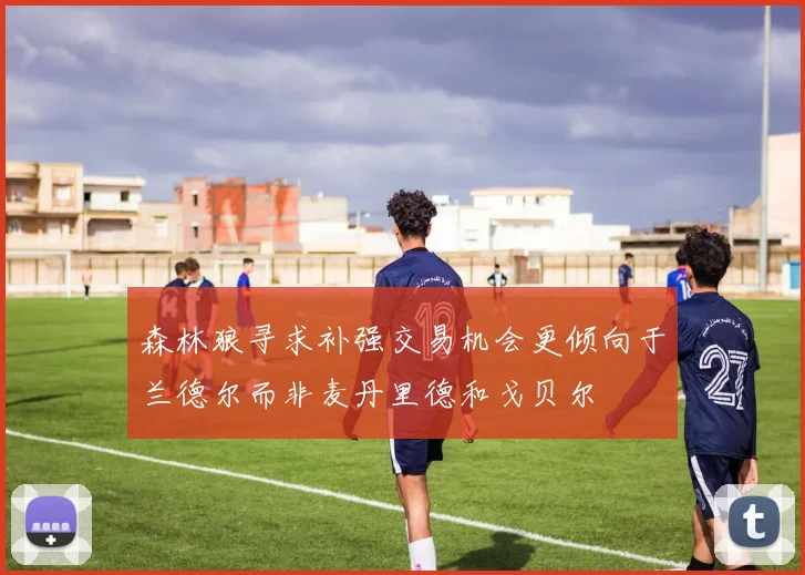 森林狼寻求补强交易机会更倾向于兰德尔而非麦丹里德和戈贝尔