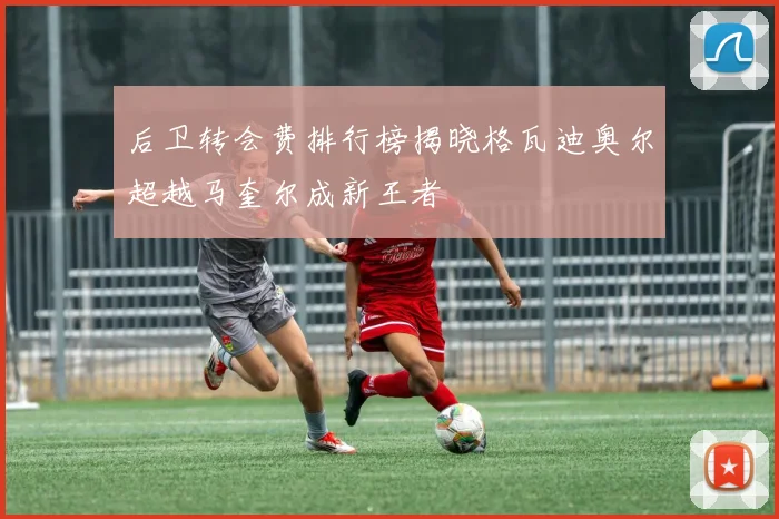 后卫转会费排行榜揭晓格瓦迪奥尔超越马奎尔成新王者