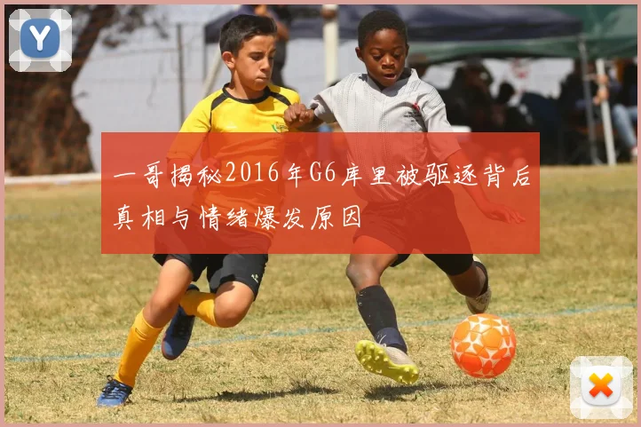 一哥揭秘2016年G6库里被驱逐背后真相与情绪爆发原因